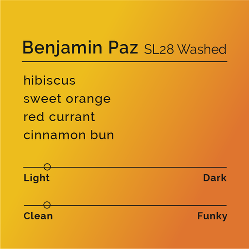 Benjamin Paz - SL28 Washed
