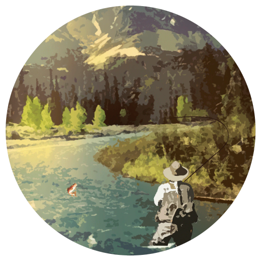 Organic Montana Morning