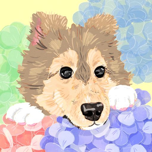 Honey Gesha - Nuguo 627NHS