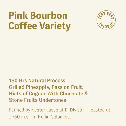 Pink Bourbon, Nestor Lasso, Colombia