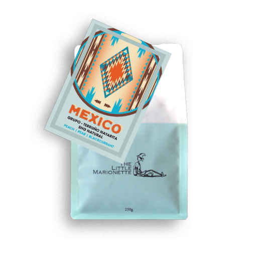 Mexico | Grupo Terruno Nayarita ~ Filter