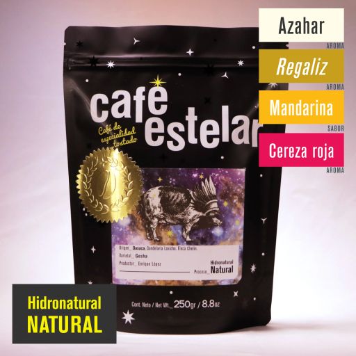 Café Oaxaca - Finca Chelín - Gesha - Hidronatural Natural