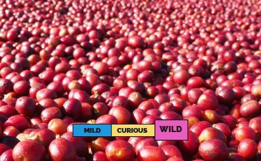 ETHIOPIA | Banko Gotiti | Heirloom | Natural