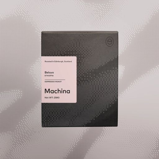 Beloya, Ethiopia - Espresso