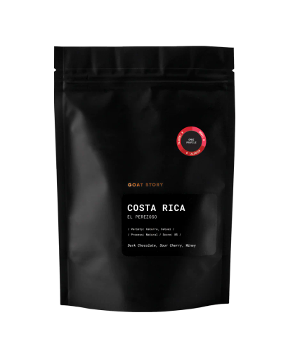 Costa Rica El Perezoso