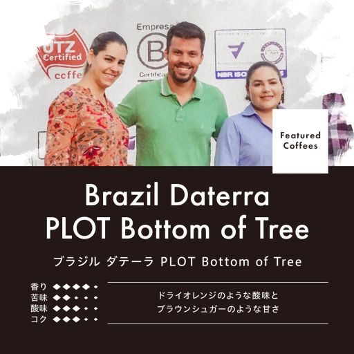 Brazil Daterra Ogawa Plot Bottom of Tree