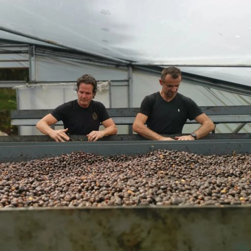 Panama - Iris Estate - Illumination