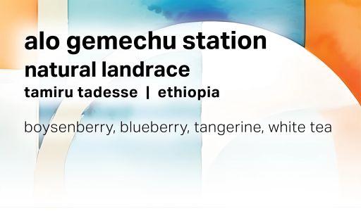 Alo Gemechu Station - Natural Landrace