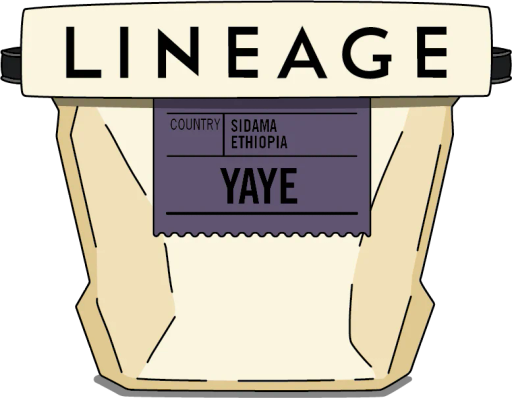 Ethiopia, Yaye - Odakko Project