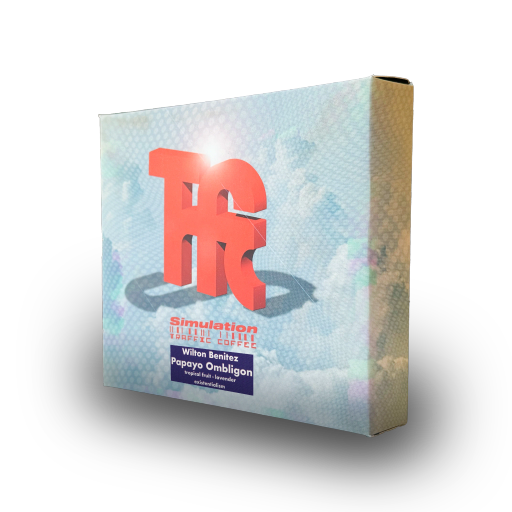 sɨmᵾłȺŧɨøn 2 - Papayo Ombligon - Wilton Benitez