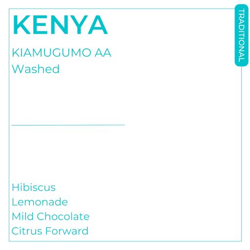 Kenya - Kirinyaga - Kiamugumo AA Washed