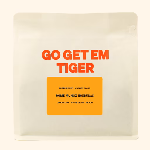 Jaime Muñoz, Honduras