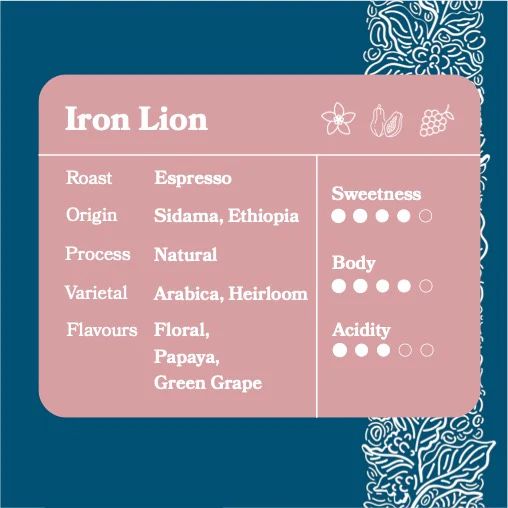 Iron Lion