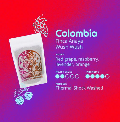 Colombia | Finca Anaya - Wush Wush