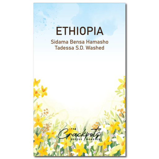 Ethiopia Sidama Bensa Hamasho Tadessa S.D. Washed