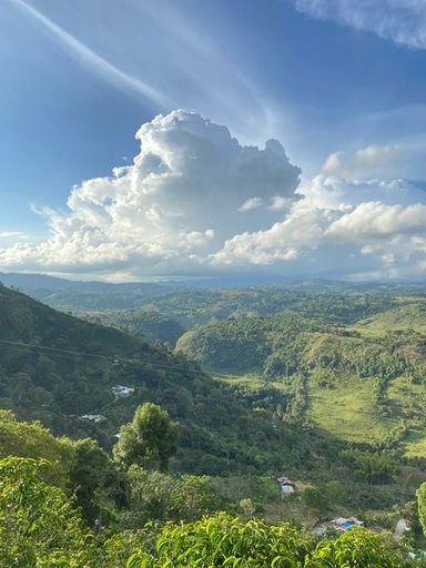 Kolumbia Milton Ortega