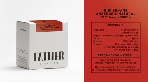 Giri Senang Anaerobic Natural Typica, West Java, Indonesia