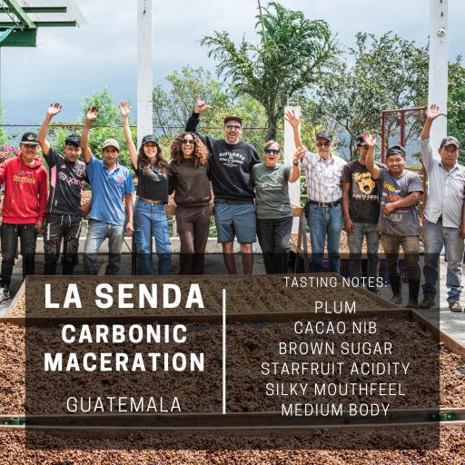 Guatemala La Senda Carbonic Maceration