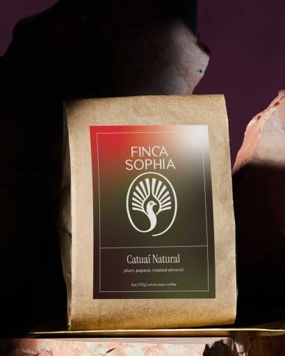 Panama Finca Sophia Catuaí Natural