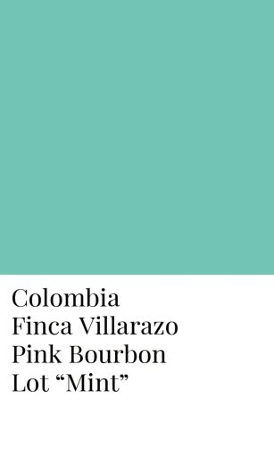 Lot "Mint" - Colombia Finca Villarazo Pink Bourbon Honey