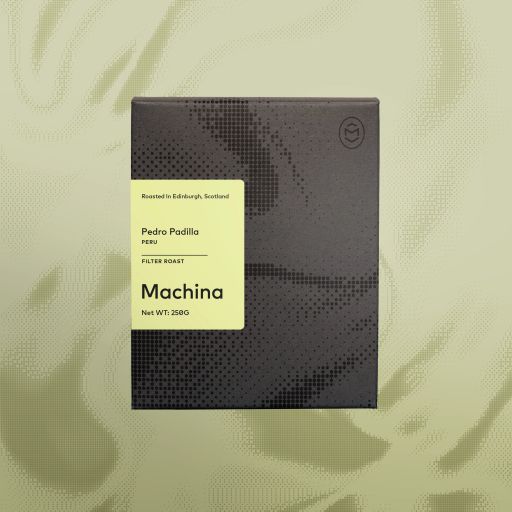 Pedro Padilla, Peru - Filter