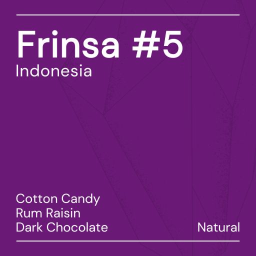 Frinsa #5