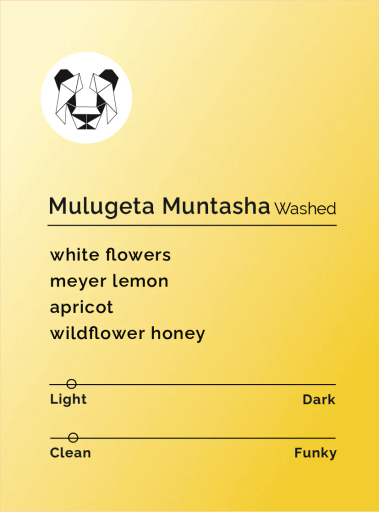 Mulugeta Muntasha - Washed