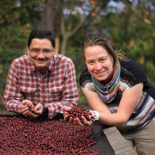 Guatemala - Santa Felisa - Red Bourbon Natural