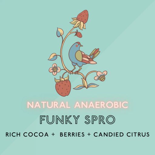 Funky Spro: Med Roast (SO)