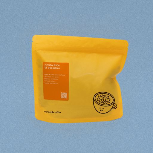 Costa Rica - El Bebedero