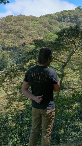 Finca Deborah Illumination Geisha Carbonic Maceration Washed