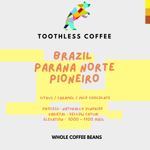 Brazil Parana Norte Pioneiro