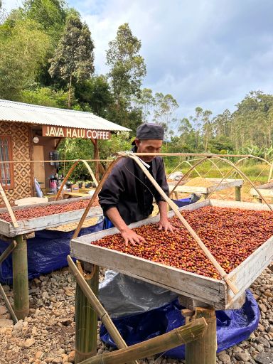 Indonesia Java Halu Natural