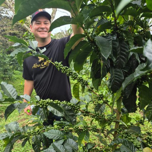 Panama - Abu Geisha - GN3135