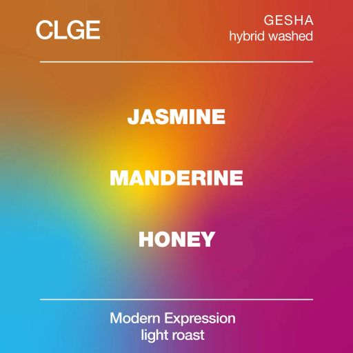 CLGE Gesha Hybrid Washed