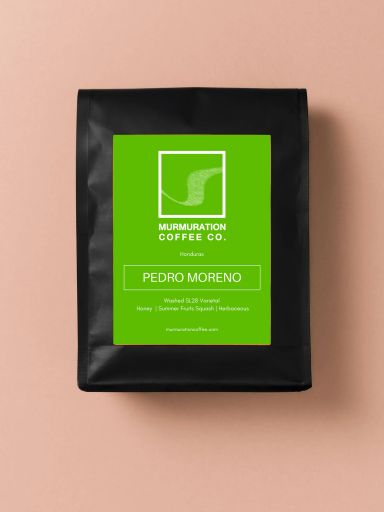 Pedro Moreno - Honduras