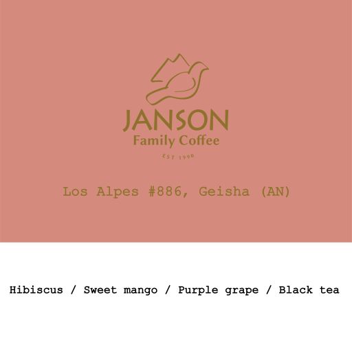 Panama Janson Family Coffee Los Alpes Geisha 48h Semi-anaerobic Natural #886