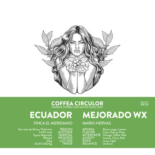 ECUADOR Meridiano Typica Mejorado WX