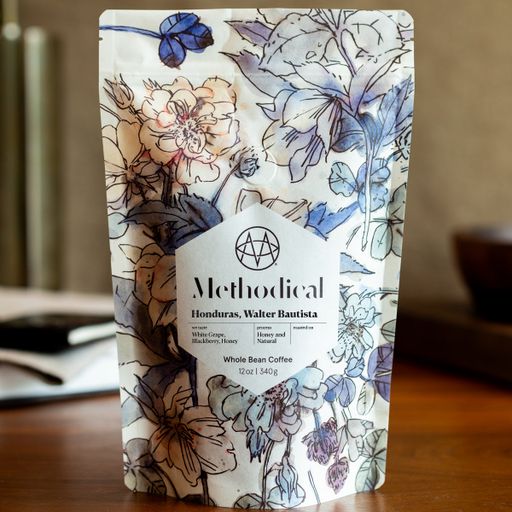 Honduras, Walter Bautista