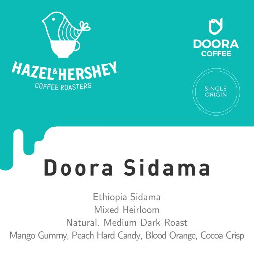 Doora Sidama