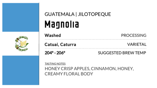 Guatemala – Magnolia
