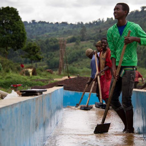 Burundi - Izuba - 72hrs Anaerobic Washed