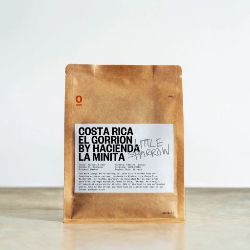 Costa Rica El Gorrión