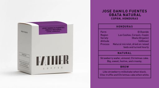 Jose Danilo Fuentes Natural Obata, Copán, Honduras