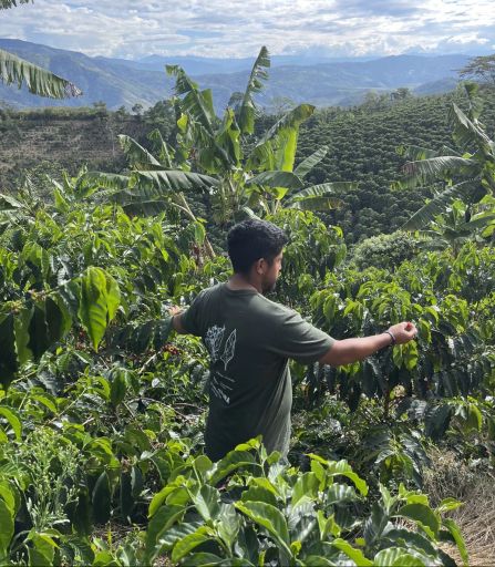 Colombia Edinson Argote Peach Melba