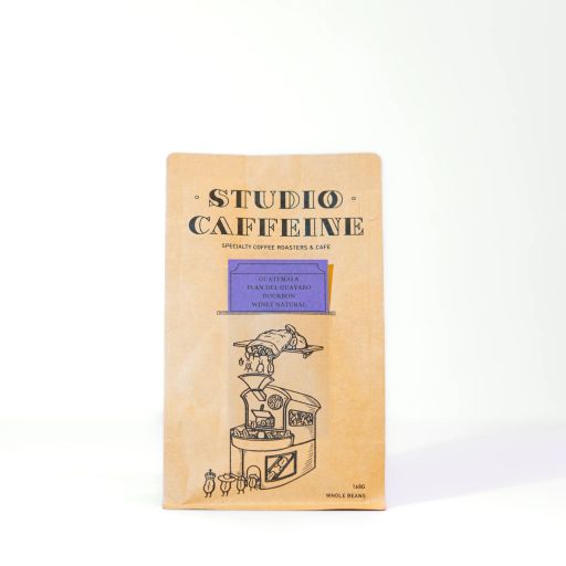 Guatemala Plan del Guayabo Natural