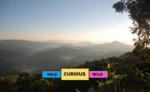 COLOMBIA | La Union - Nariño | Castillo & Caturra | Washed