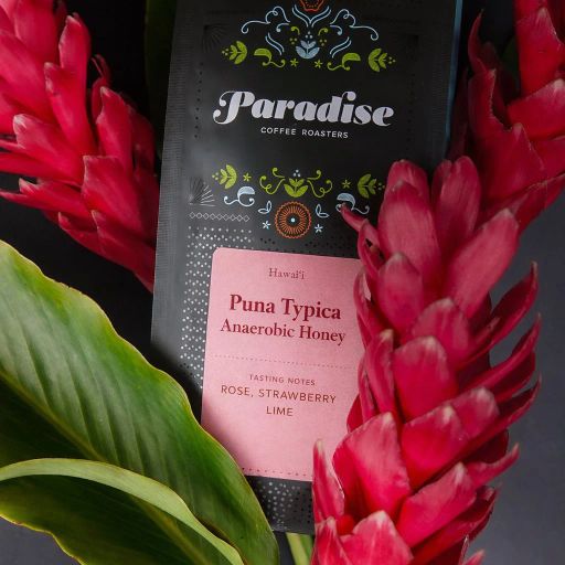 Puna Typica — Anaerobic Honey