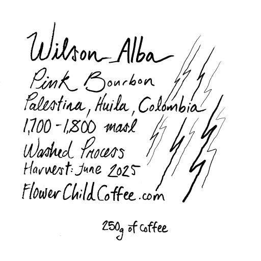 Wilson Alba