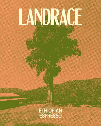 Landrace